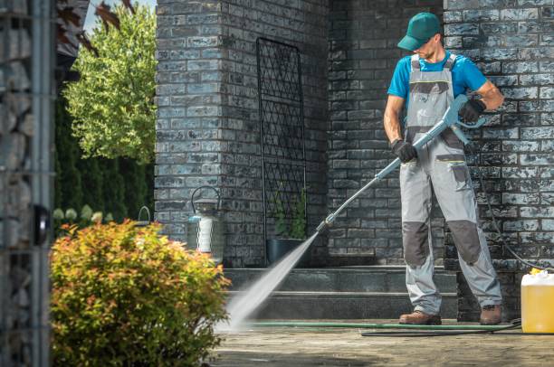 Best House Exterior Washing  in Rogersville, TN