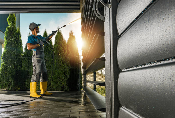 Best Sidewalk and Walkway Cleaning  in Rogersville, TN