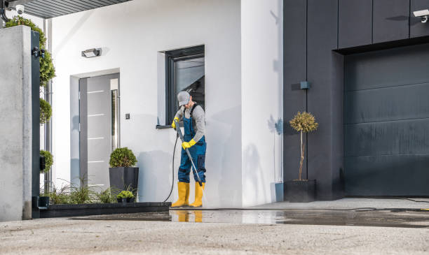 Best Fence Cleaning  in Rogersville, TN